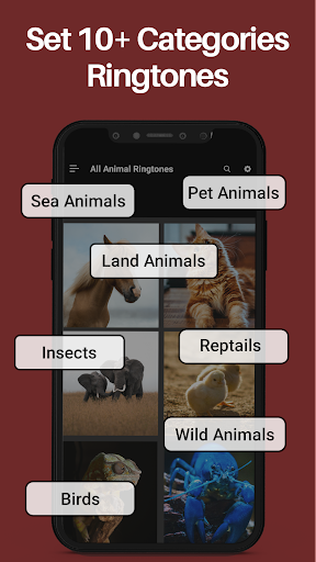 Android application Animal Ringtones & Bird Sounds screenshort