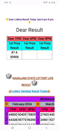 Kerala Lottery Results Screen 3