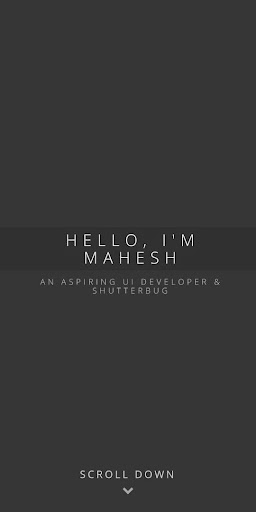 Android application Mahesh Pansare | UI Developer screenshort