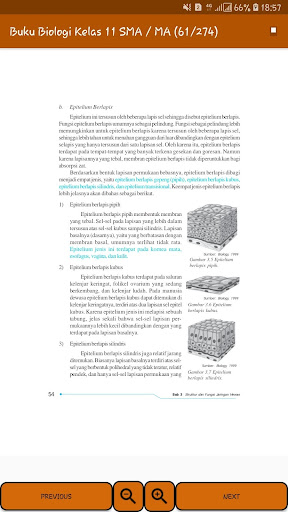 Buku Biologi Kelas 11 SMA / MA Kurikulum 2013
