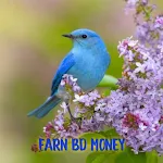Cover Image of Baixar Earn Money BD 1.0 APK