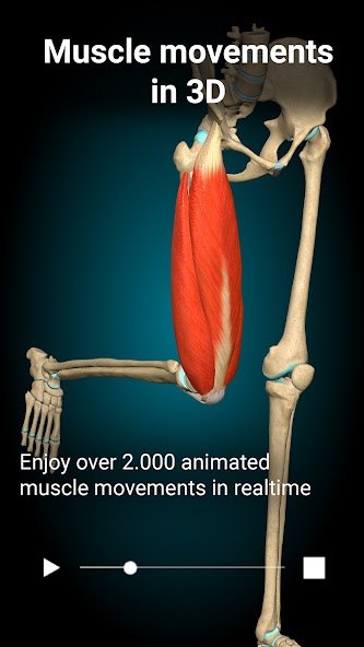 Anatomy Learning - 3D Anatomy 2.1.421 APK + Mod (Unlocked / Full) for Android