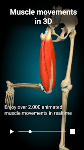 Anatomy Learning-3D Anatomy Atlas MOD APK v2.1.374 (Full version Unlocked) Gallery 1
