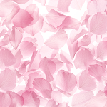 Cover Image of Download Sheer Sakura Theme +HOME 2.0.0 APK