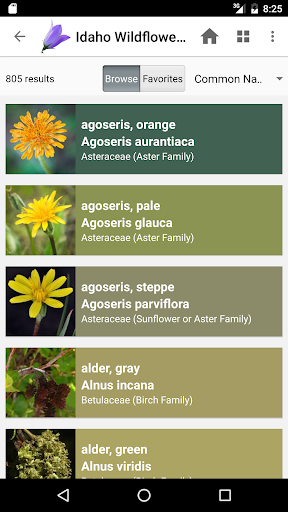 Screenshot of Idaho Wildflowers