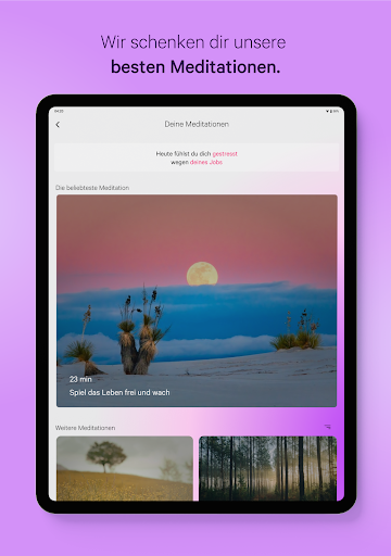 Screenshot of homodea Meditation