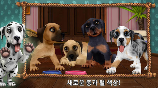 앱 미리보기