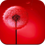 Cover Image of Download HD Awesome Wallpapers 1.01 APK