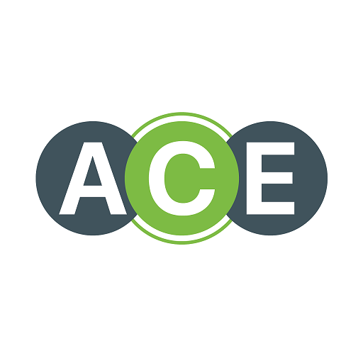 ACE School logo