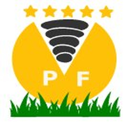 Pebble Factory logo
