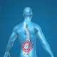 Back Pain Relieving Exercises Download on Windows