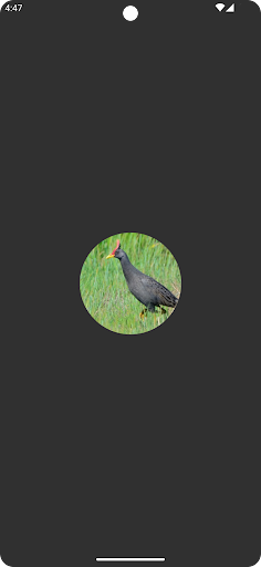 Android application Watercock Sounds screenshort
