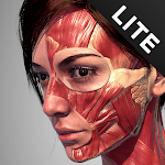 Cover Image of ダウンロード Action Anatomy - 3D anatomy po  APK