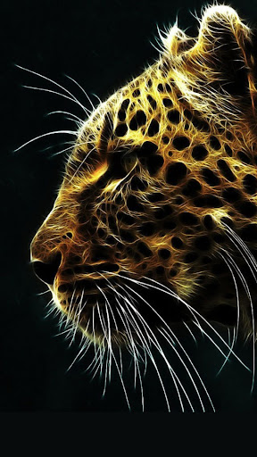 Cheetah Wallpapers Screenshot 4 - AppWisp.com