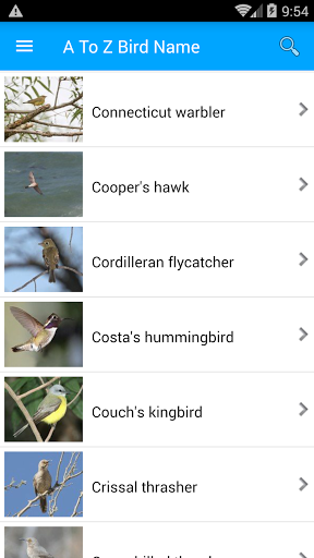 Bird Name And Sound Screen 2