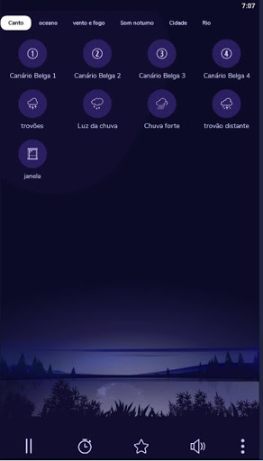 Canto Para Esquentar o Canário Belga