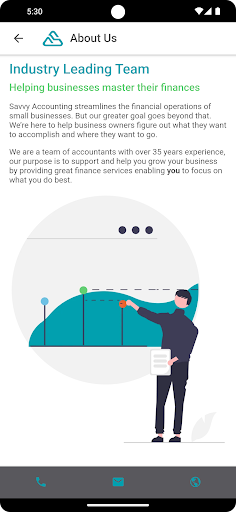 Savvy Accounting Screen 2