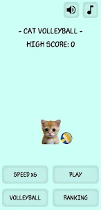 Tennis Cat: Meme Sport Master