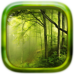 Icon image Picture Puzzle: Forest