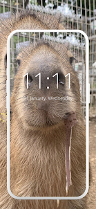 Capybara Wallpaper : Meme
