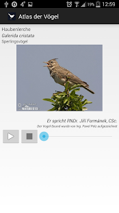 Vögel Europas FULL Screenshot