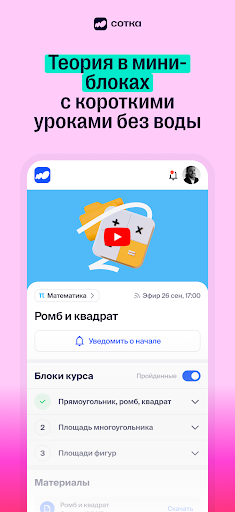 Сотка - онлайн школа