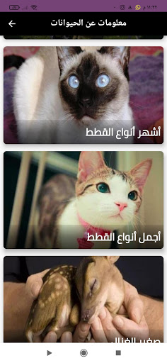 معلومات ‏عن ‏الحيوانات بدون نت Screen 3