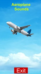 Aeroplane Sound Effects 3D Sim