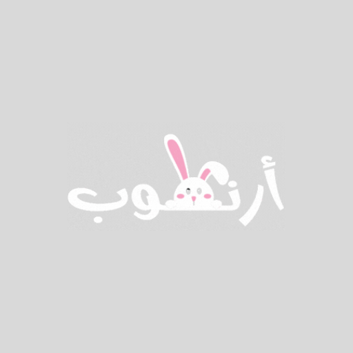 متجر أرنوب logo