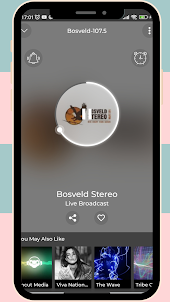 Radio Bosveld Stereo 107.5 FM
