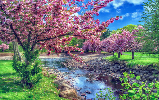 Smart HDR Screenshot 1 - AppWisp.com