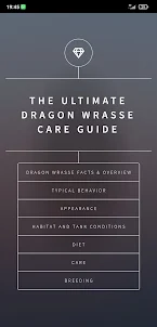 Dragon Wrasse Care Guide