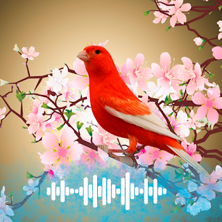 Canary sounds Ringtones