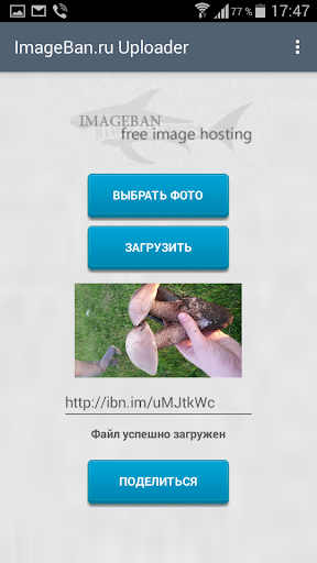 ImageBan Uploader Screen 3