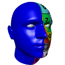 d3D Sculptor - 3D modeling