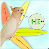 parrot sound effects icon