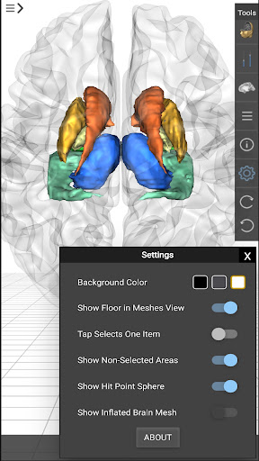 Brain Tutor 3D Screen 2