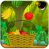 Fruits Catch icon