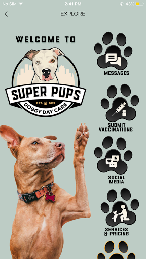 Super Pups Daycare Screen 2