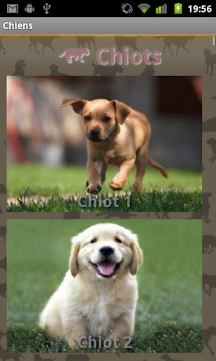 Android application Dog Sounds screenshort