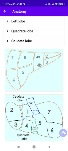 Easy Anatomy -Clinical Anatomy