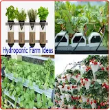 Hydroponic Farming Ideas icon