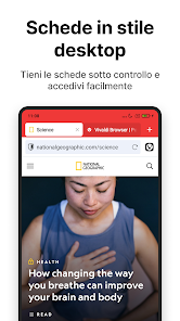 Immagine screenshot