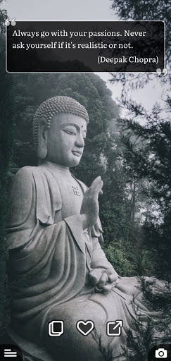 Pagoda Online - Buddha Quotes Screen 2