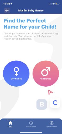 IRUSA - Islamic Relief USA