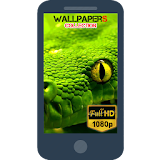 BEST ART WALLPAPERS HD 2017 icon