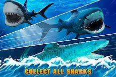 Sea of Sharks: Survival Worldのおすすめ画像3
