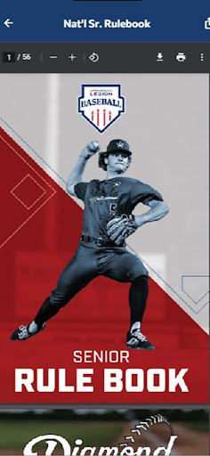 Minnesota Legion Baseball Screen 3