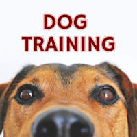 Dog Training The best Dog Training App