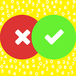 Mathematical Practice